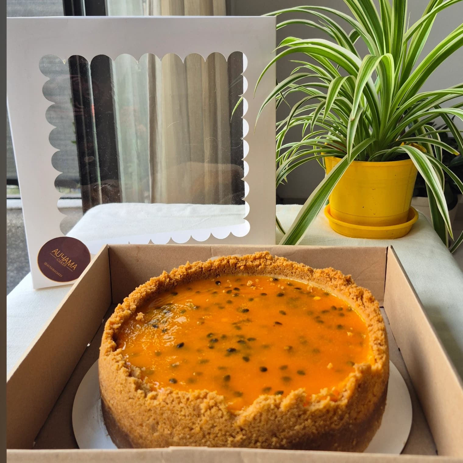Cheescake de Mayacuyá (5)