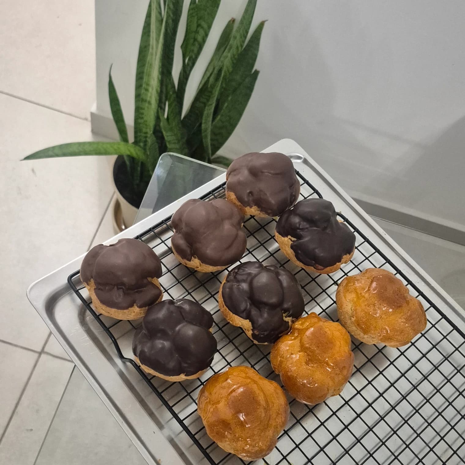 Profitelores Box (5)