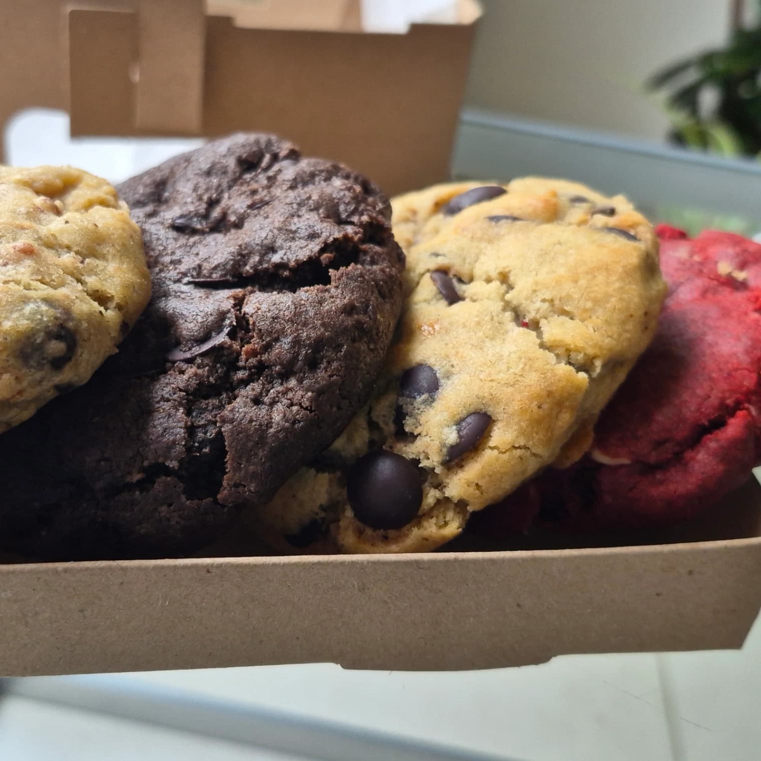 Antojo Box (4)